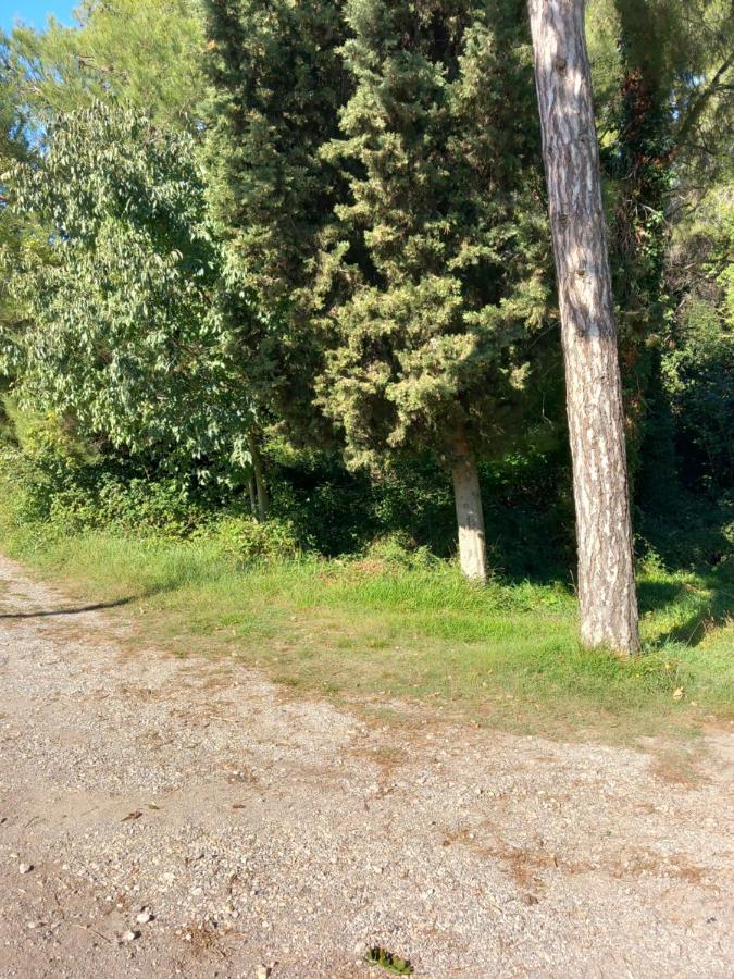 Apartmani Alma Pula Eksteriør billede
